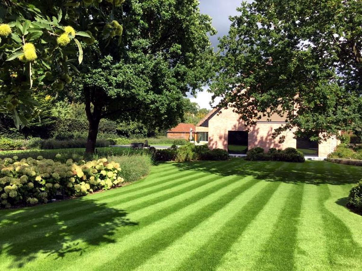 Onderhouden gazon en beplanting